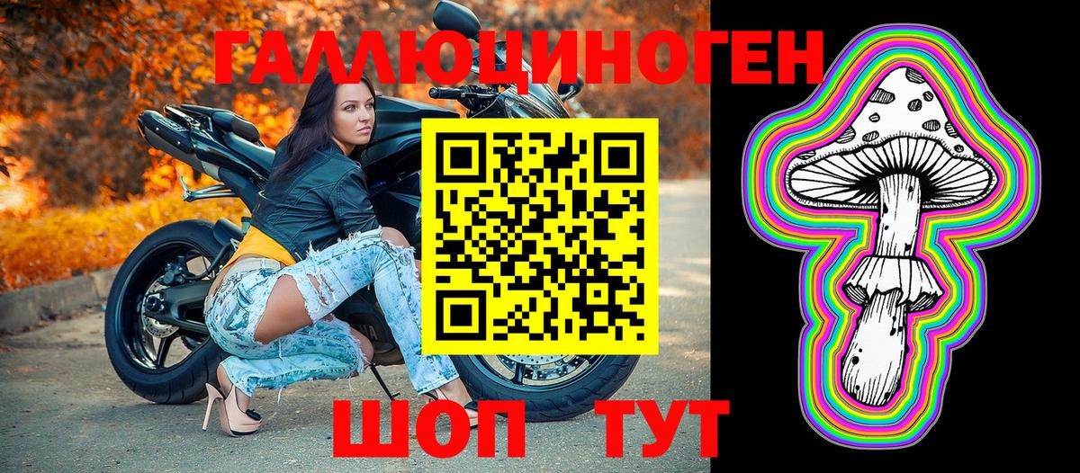 где купить наркоту  Псилоцибиновые грибы мицелий  Вход с VPN  Галлюциногенные грибы GOLDEN TEACHER  Магадан 